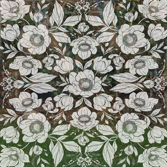 Blossom & Brush window film Bristol privacy frosted windowfilm Bloom Door Numbers